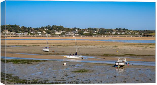 Rock, Cornwall Canvas Print by Brenda Belcher