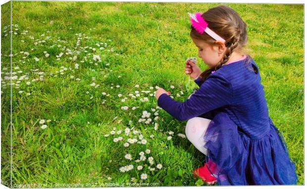 A little girl that is standing in the grass and picking flowers Canvas Print by M. J. Photography