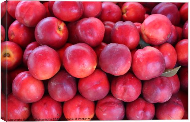 Apples Canvas Print by M. J. Photography