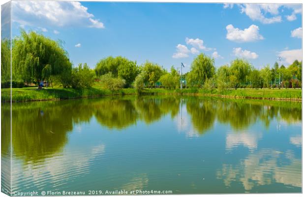 water lake reflection of green willow trees Canvas Print by Florin Brezeanu