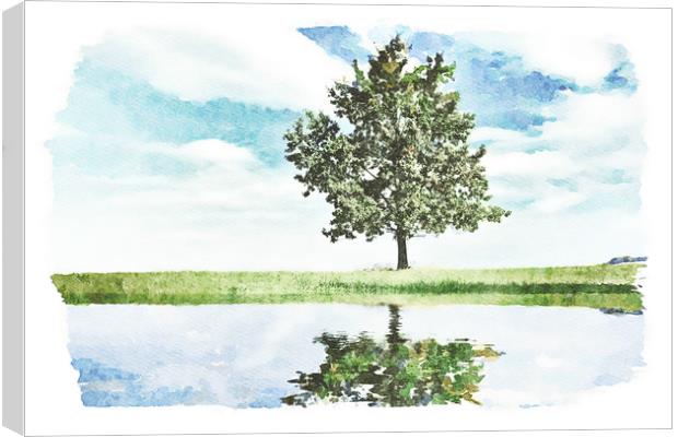 Lonely tree by the pond Canvas Print by Wdnet Studio