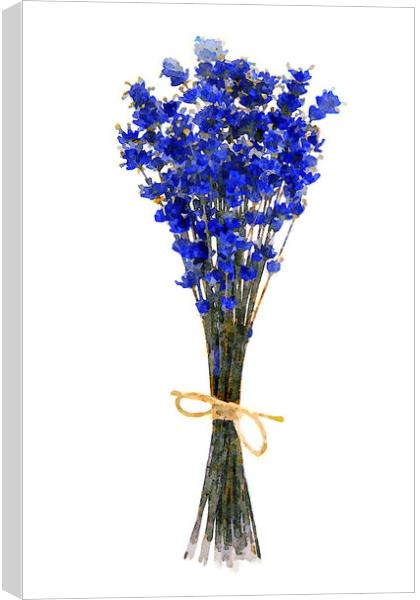 Bouquet of dried lavender Canvas Print by Wdnet Studio