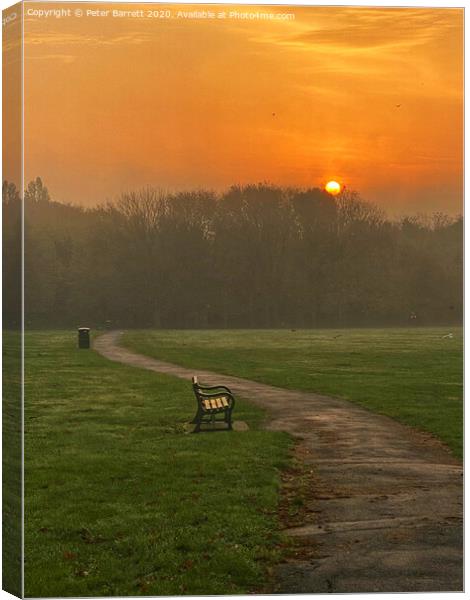 The Lonely Path at Sunrise Canvas Print by Peter Barrett