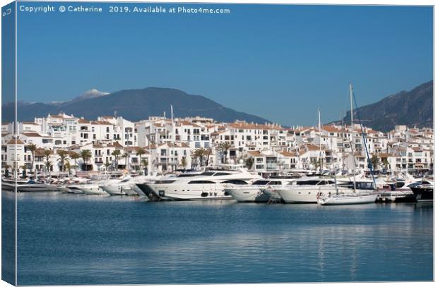 Puero Banus Marina Canvas Print by Rocklights 