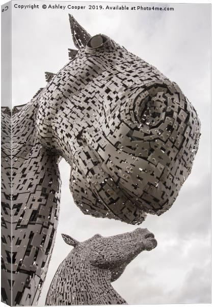 The Kelpies. Canvas Print by Ashley Cooper