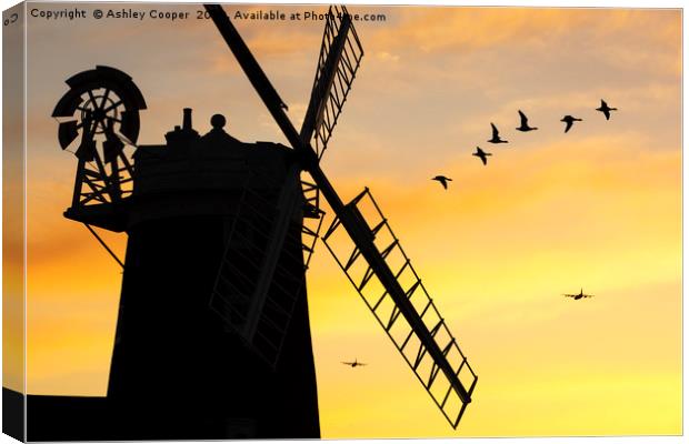 Windmill fly past. Canvas Print by Ashley Cooper