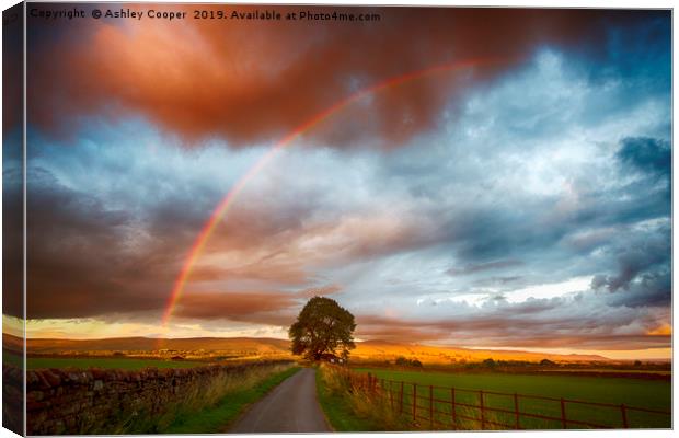 Rainbow sunset. Canvas Print by Ashley Cooper