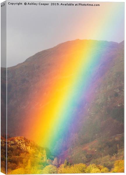 Rainbow. Canvas Print by Ashley Cooper