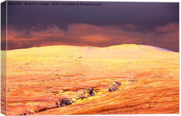 Pennine glow. Canvas Print by Ashley Cooper