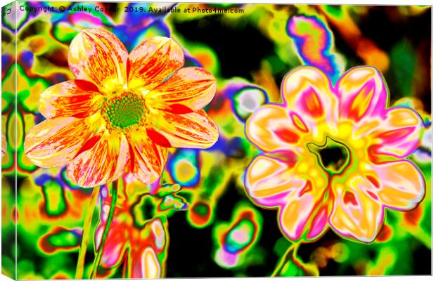 Floral art. Canvas Print by Ashley Cooper