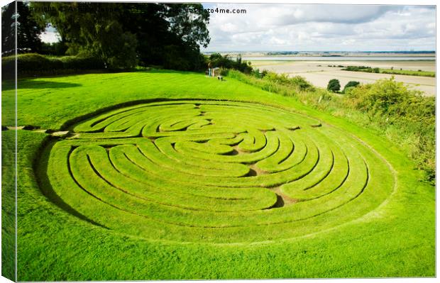 Green maze Canvas Print by Ashley Cooper