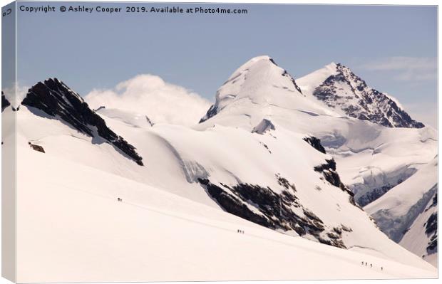 Breithorn climbers. Canvas Print by Ashley Cooper