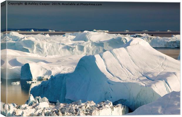 Greenland Icebergs Canvas Print by Ashley Cooper