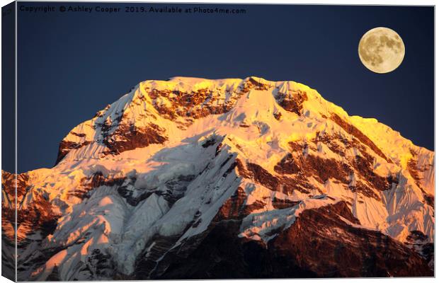 Annapurna moon. Canvas Print by Ashley Cooper