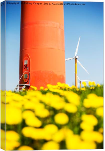 Wind power. Canvas Print by Ashley Cooper
