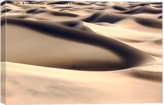 Sand dunes. Canvas Print by Ashley Cooper