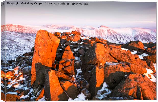 Red Screes. Canvas Print by Ashley Cooper