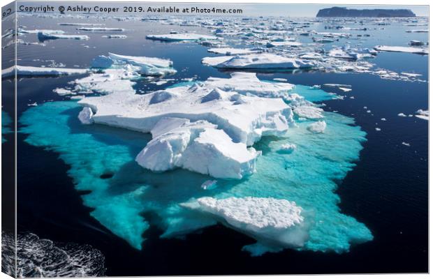 Iceberg below. Canvas Print by Ashley Cooper