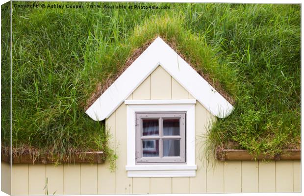 Green roof. Canvas Print by Ashley Cooper