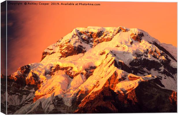 Annapurna afterglow. Canvas Print by Ashley Cooper
