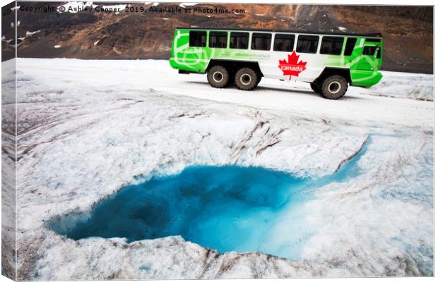 Athabasca glacier. Canvas Print by Ashley Cooper