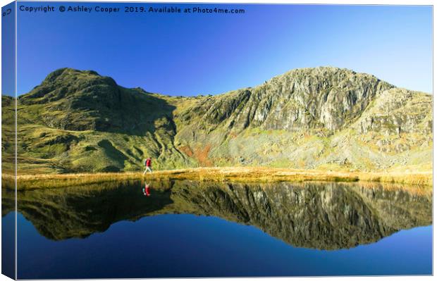 Pavey Ark. Canvas Print by Ashley Cooper