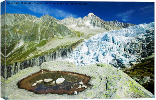 Argentiere Glacier. Canvas Print by Ashley Cooper