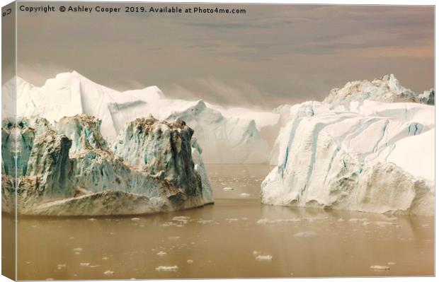 Misty bergs. Canvas Print by Ashley Cooper