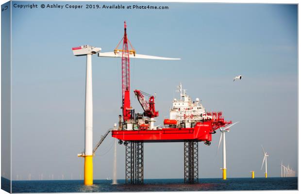 Walney offshore windfarm. Canvas Print by Ashley Cooper