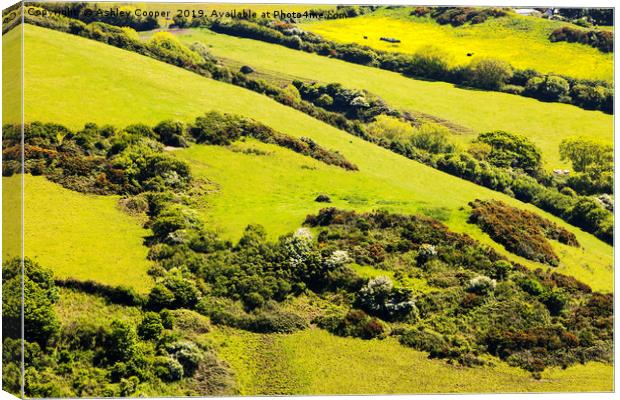 Field boundaries. Canvas Print by Ashley Cooper