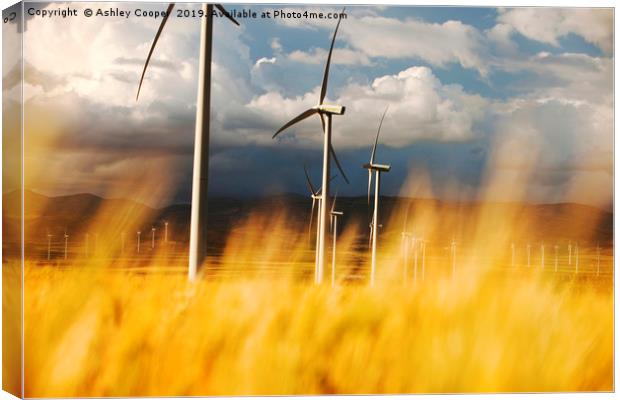 Andalucia turbine. Canvas Print by Ashley Cooper