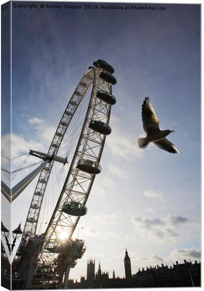 The London Eye. Canvas Print by Ashley Cooper