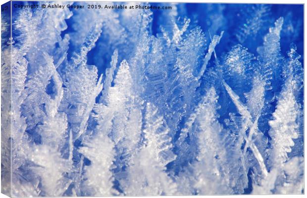 Ice crystals. Canvas Print by Ashley Cooper
