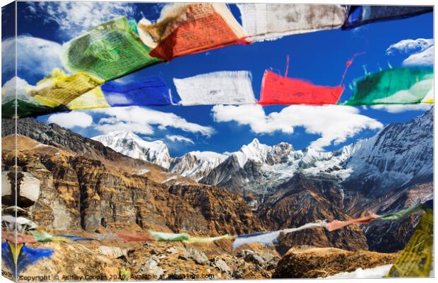Prayer flags Canvas Print by Ashley Cooper