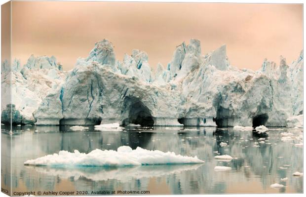 Greenland berg. Canvas Print by Ashley Cooper