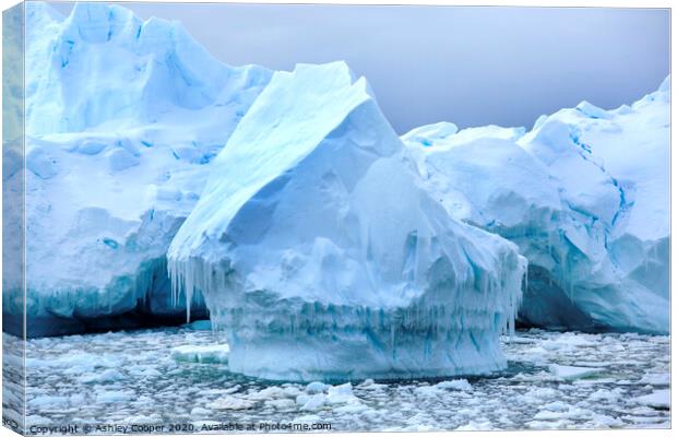 Icicle berg. Canvas Print by Ashley Cooper