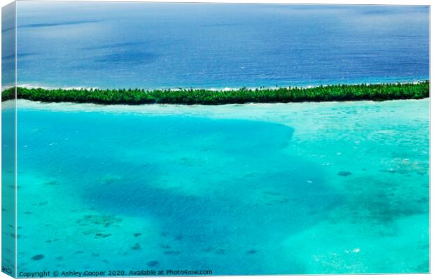 Tuvalu reef.  Canvas Print by Ashley Cooper