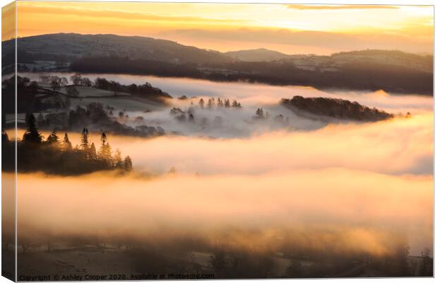 Misty glow. Canvas Print by Ashley Cooper