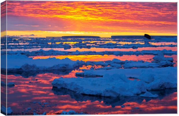 Antarctic sunset Canvas Print by Ashley Cooper
