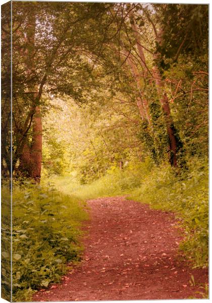 Autumn Fall Pathway Canvas Print by Peter Smith