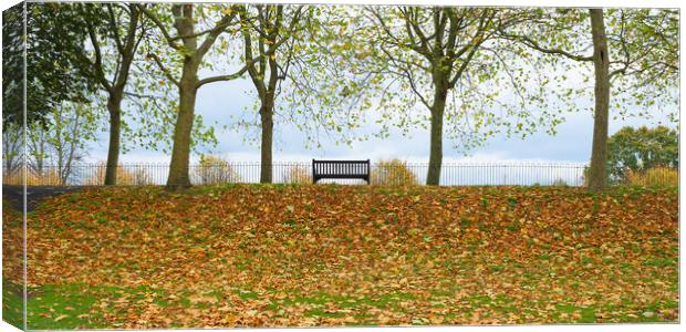 Solitary bench in an autumnal park  Canvas Print by Peter Smith