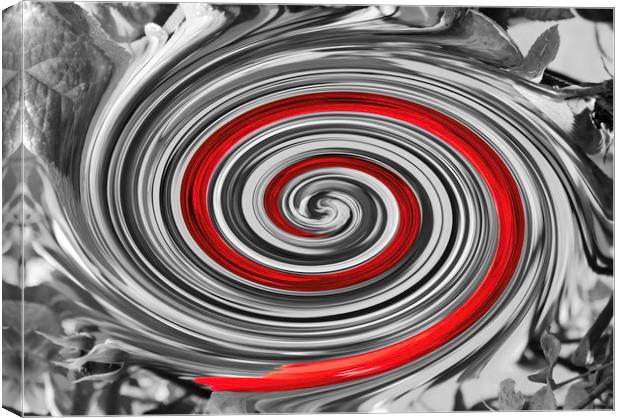 Valentine Twirl - deepening spiral of love Canvas Print by Peter Smith