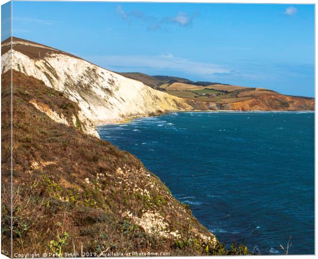 Beautiful Isle of Wight, Compton Bay viewed from F Canvas Print by Peter Smith