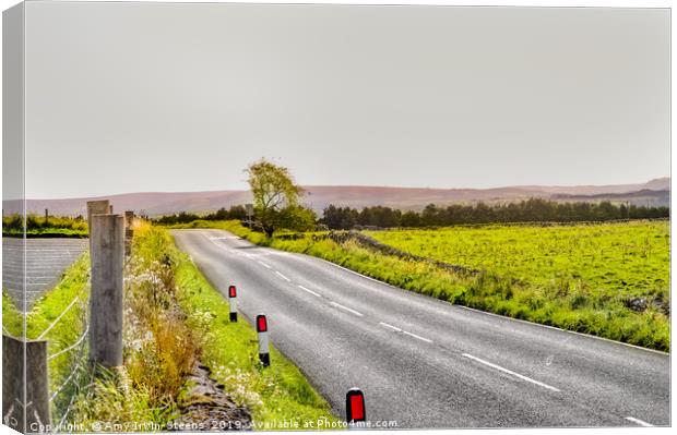 Yorkshire Lane Canvas Print by Amy Irwin-Steens