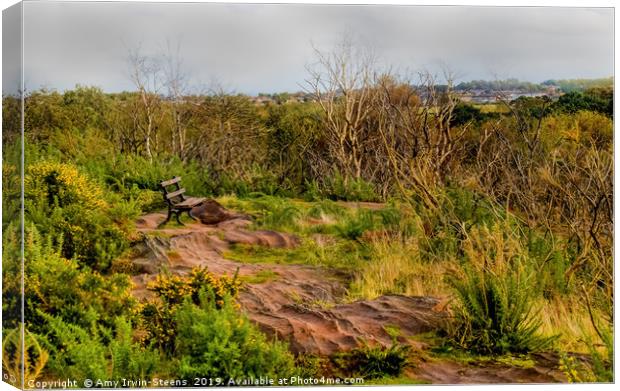 Thurstaston Hill View Point Canvas Print by Amy Irwin-Steens