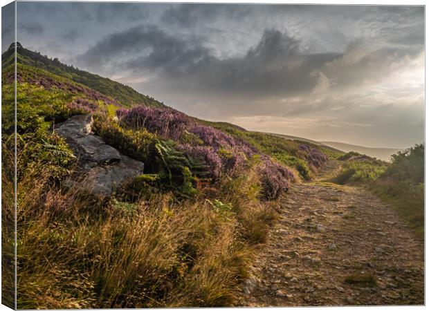 Morning light in the Langden valley Canvas Print by gary telford