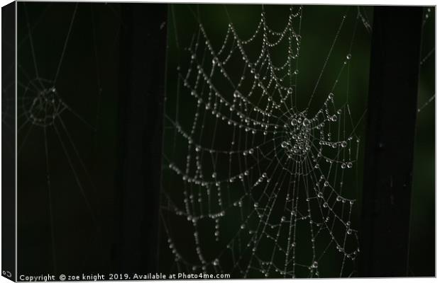 spider web Canvas Print by zoe knight