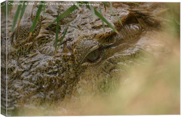 Eye of the crocodile Canvas Print by Andy Hillman