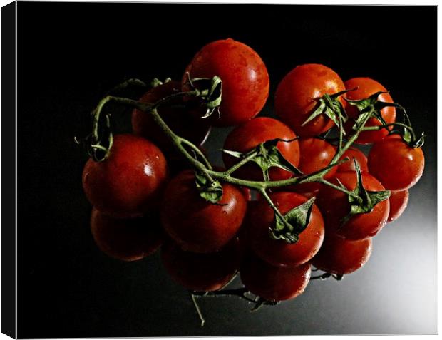 Tomato reflections Canvas Print by Martin Smith