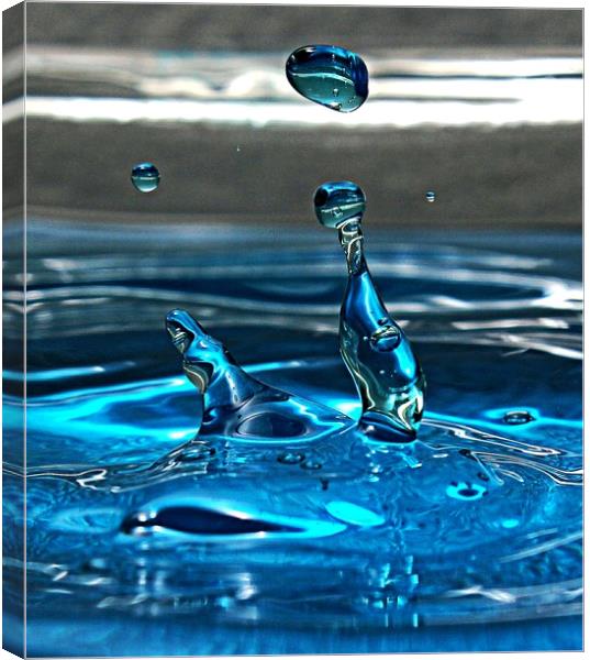 Split sceond water droplet Canvas Print by Martin Smith